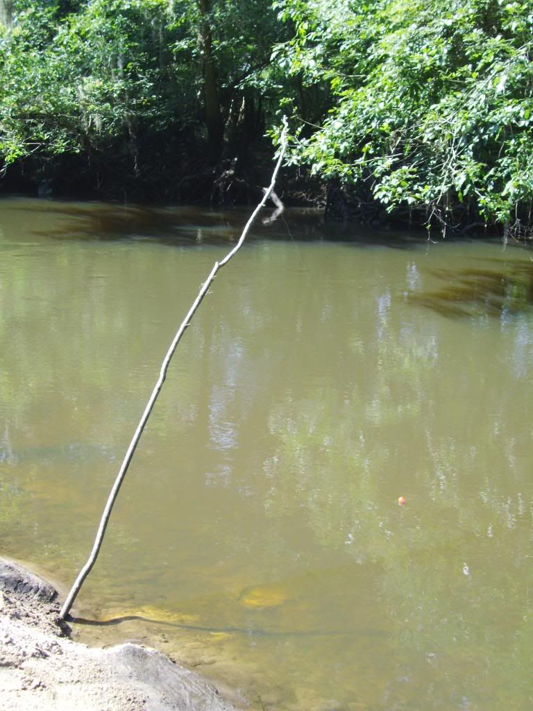 Kayaking the Ogeechee River in 2009 *Pic HEAVY* (1